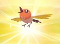 Cara Menemukan (& Menangkap) Shiny Fletchling di Pokemon GO