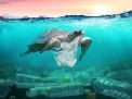 Fakta Menakutkan Tentang Polusi Plastik