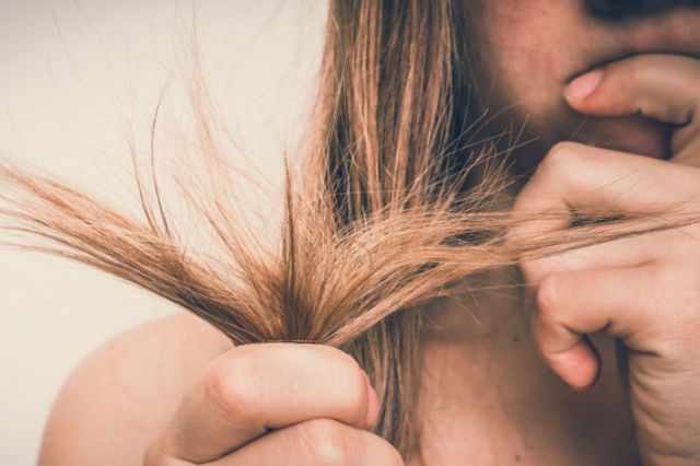 19 Home Remedies untuk Rambut Kering dan Rusak